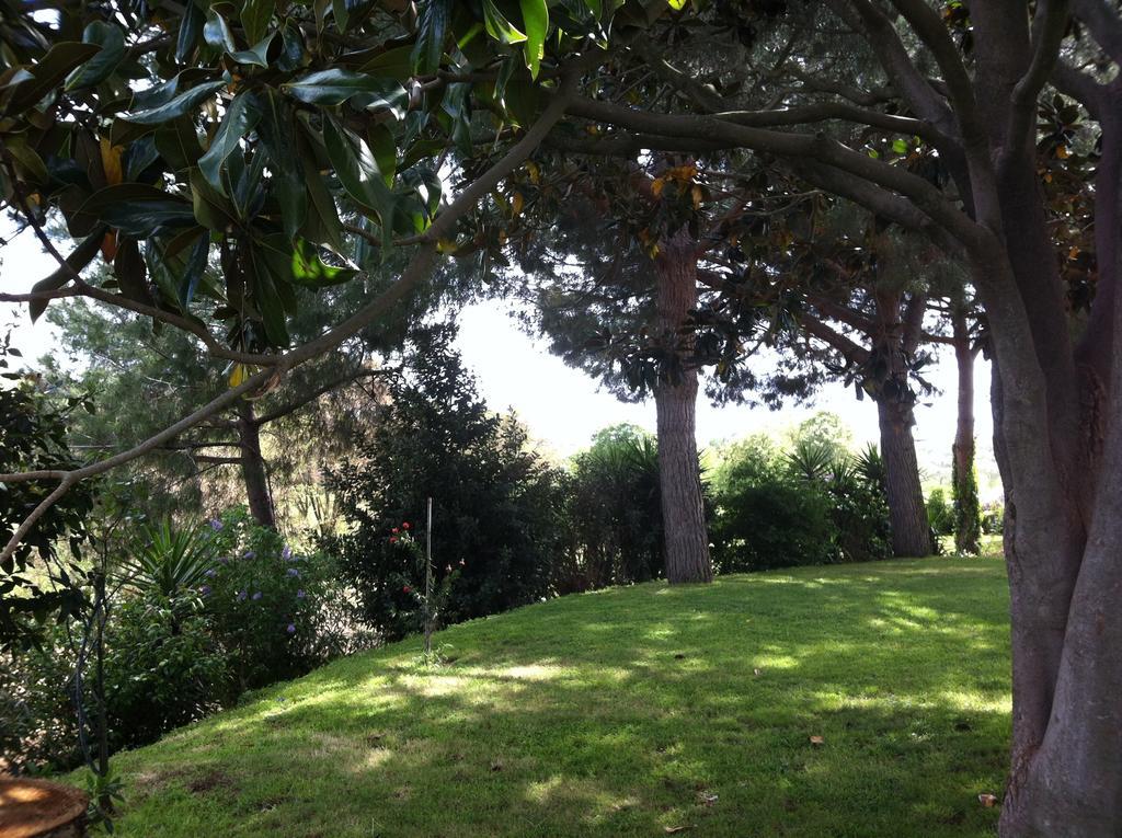 La Finestra Sul Cortile Bed & Breakfast Pomezia Exterior foto